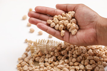 Uncooked dried chickpeas in hand