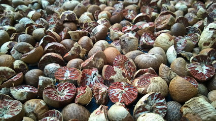 Betel nut is seeds of the fruit, sun dried in a courtyard, with raffia is also known as Mak, closely, choose Focus, Thailand.