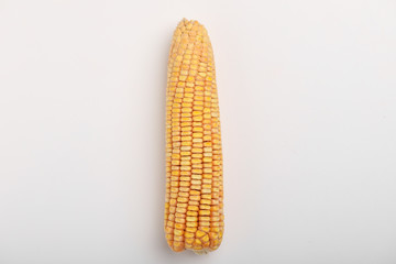 Dried corn seed on white background. Grains of ripe corn.