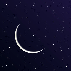 Obraz na płótnie Canvas Starry sky with moon background flat vector