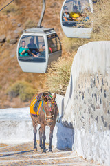 Donkey taxis with cable car passing in the background. Travel landscape n Santorini, Greece