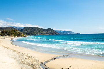 伊豆・白浜海水浴場