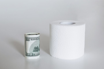 100 dollars rolled up and one roll of toilet paper on a white background
