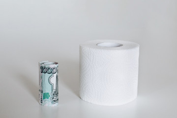 1000 rubles rolled up with a tube and one roll of toilet paper