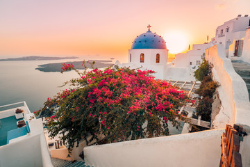 Romantic summer view of traditional caldera Santorini church houses on small street with flowers in foreground. Beautiful sunset Oia village, Santorini, Greece. Vacations travel background.