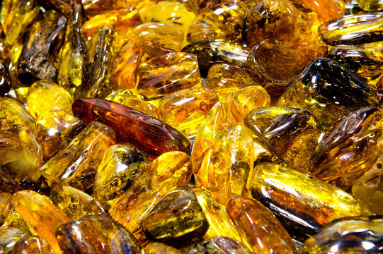 International Baltic Jewellery Show "Amber Trip"