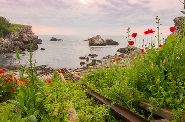 Beautiful sunset on a rocky shore among the flowering herbs of the Mediterranean