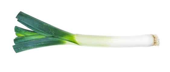 Foto auf Acrylglas Frisches Gemüse Wurzel von frischem Lauch mit Grünausschnitt auf Weiß
