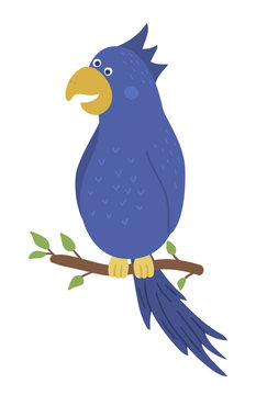 blue parrot perched on branch clip art preview
