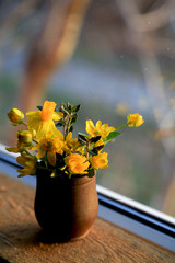 Small clay vase with primroses - yellow daffodil, Scílla, Cáltha palústris, Puschkinia scilloides and sage leaves on a wooden windowsill