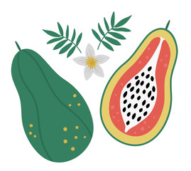Vector pawpaw clip art. Jungle fruit illustration. Hand drawn flat exotic plants isolated on white background. Bright childish healthy tropical summer food illustration..
