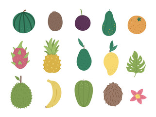 Vector tropical fruit and berries clip art. Jungle foliage illustration. Hand drawn flat exotic plants isolated on white background. Bright childish healthy summer food illustration..
