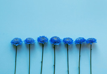 Blue small flowers on a blue background. Rhythmic composition.