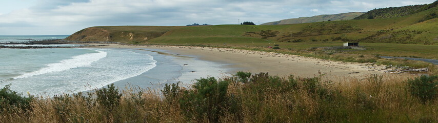 Coast in Molyneux Bay in Otago on South Island of New Zealand
