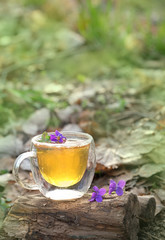 herbal tea with wild flowers violets in garden. Healing tea party.  copy space.