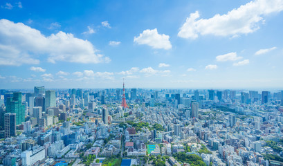 東京風景 2019年 夏空　東京タワーと大都会　緑と流れる雲 木漏日
