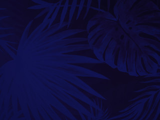 Beautiful abstract color white blue leaves marble on white background, black blue granite tiles floor on blue background, love white leaves banners graphics, art mosaic decoration blue flowers