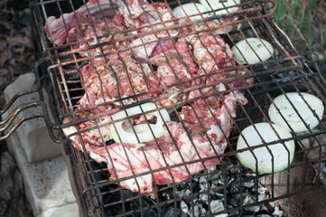 Cooking rack of lamb on the grill. Fresh meat and onions on the grill. Camping.