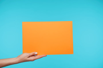 Studio photo of raised pretty lady's hand holding envelope with documents while transfering it to her supervisor, posing over blue background