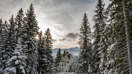 Early winter day at Sella Nevea