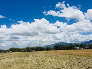 field and blue sky