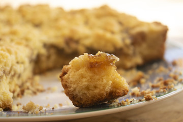 piece of tart in evidence