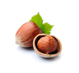 Hazelnuts  isolated.