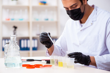 Young male chemist working in the lab