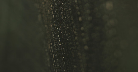 Closeup of dirty glass with sunsey light