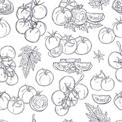 Tomatoes. Hand drawn vegetables on white background.  Vector seamless pattern.