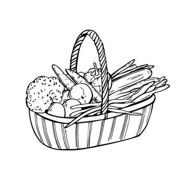 Vegetable Basket Drawing Images – Browse 28,370 Stock Photos, Vectors, and  Video | Adobe Stock