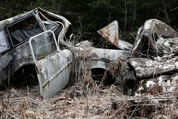 Obraz premium Old, forgotten cars in the forest at Southern Finland. 
