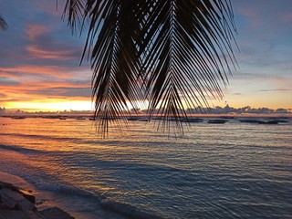 Fototapeta premium sunset on beach