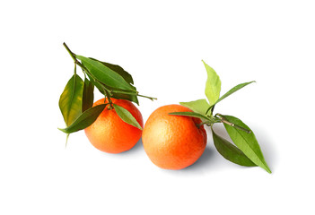 Tangerines with leaves on isolation