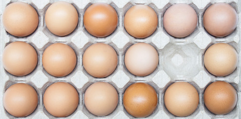  Top view Chicken eggs in carton box