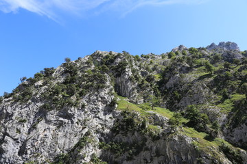 Ruta del Cares