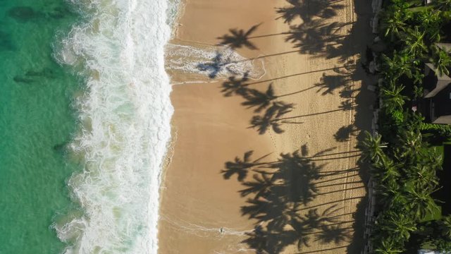 Aerial top down view over Haena Beach. Hawaii travel destination. White foam of ocean surf washes the golden sand. Palm tree's shadows lay on the beach. Houses roofs are seen among the trees. 4K