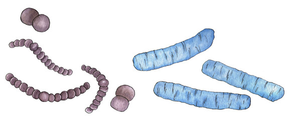 A set of two long bacteria. Watercolor illustration for any design.