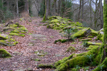 Wanderweg