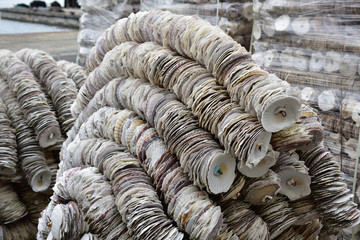 日本の岡山県備前市の頭島の牡蠣殻