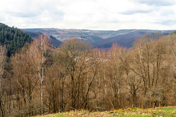 Fototapeta premium Weitsicht Odenwald