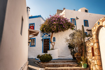 Traditional white houses in the historical center of Bodrum, Turkey. Travel to the Mediterranean countries