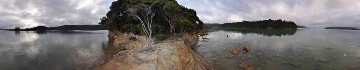 Panorama of a single tree and forest on a rocky outcrop in a lake in New Zealand 
