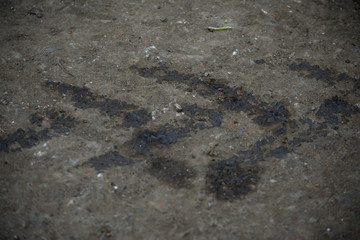 oil marks from car wheels pollution tread