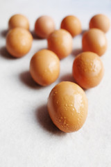 Fresh chicken eggs on white concrete floor background. The benefits of eating eggs are high protein. Copy Space