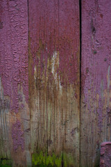 paint moss mold wooden board garden texture old cracked red pink green scarlet story