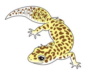 ヒョウモントカゲモドキ キャラクター イラスト