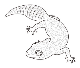 ヒョウモントカゲモドキ キャラクター イラスト ぬりえ