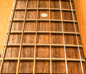 Guitar vulture with strings