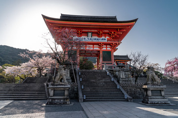 日本 京都 清水寺の桜と春景色